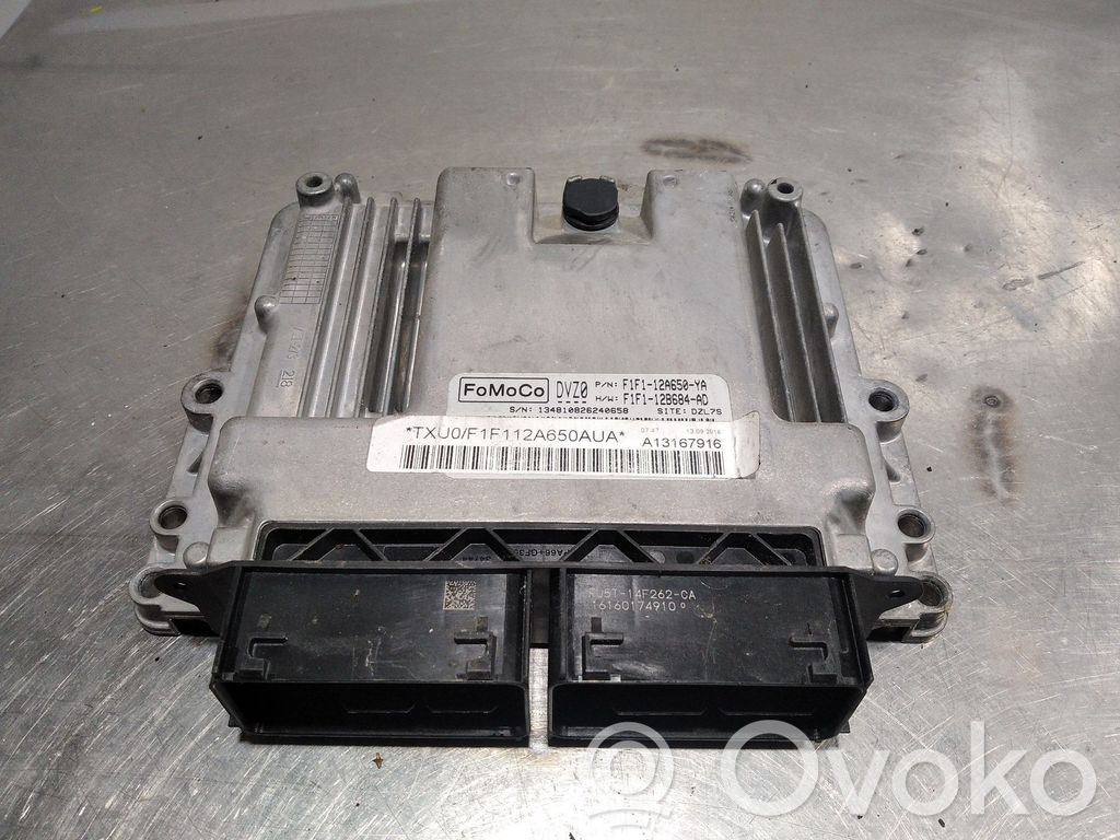 Ford Focus Engine control unit/module 