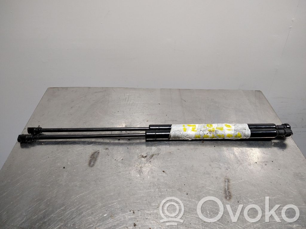 Tailgate/trunk strut/damper   50CM