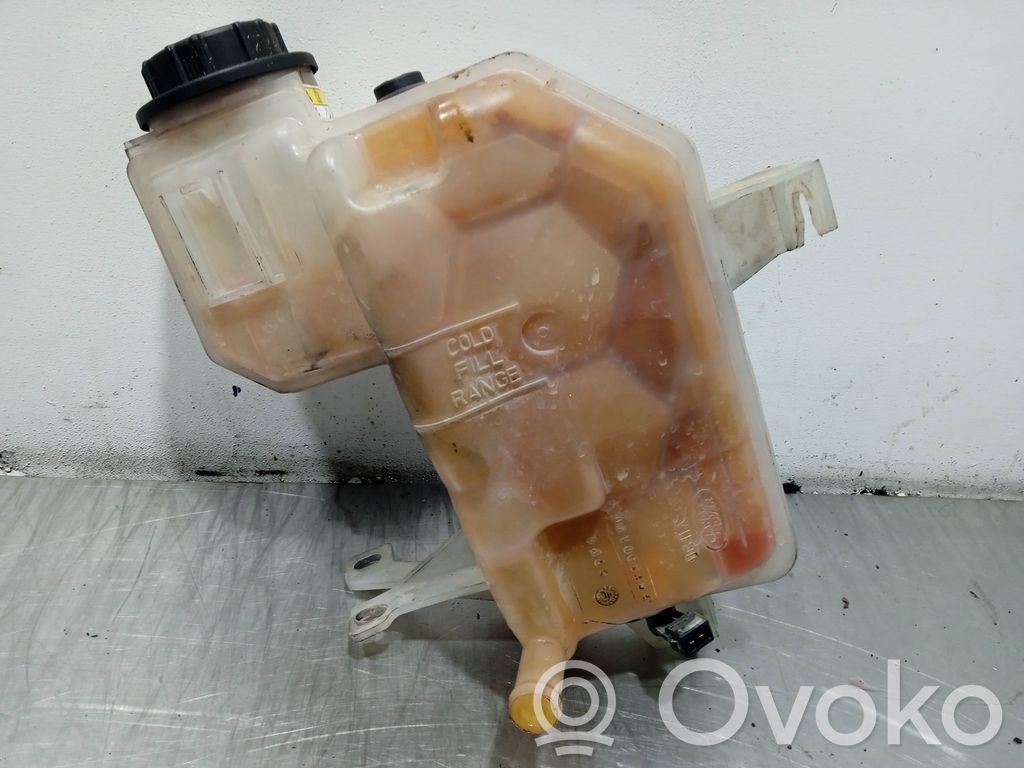 Land Rover Range Rover Sport L320 Vas expansiune combustibil 
