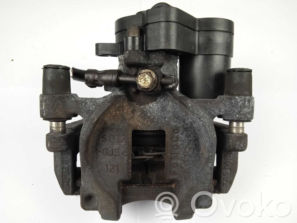 Takajarrusatula   GV612D251A