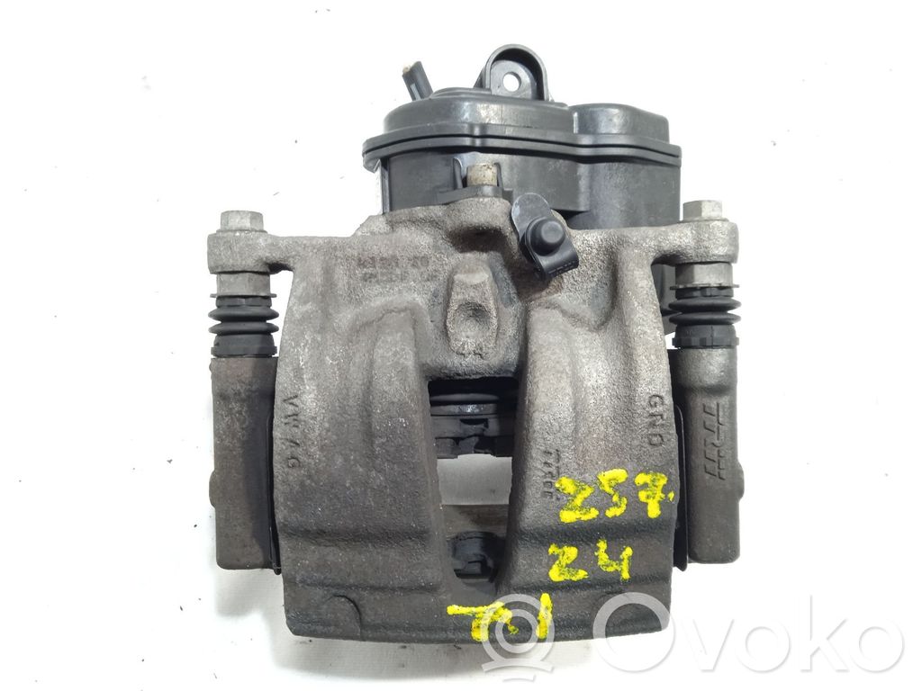 Takajarrusatula   4M0405DR