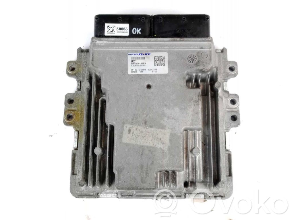 Hyundai Tucson TL Unitate/modul de control motor 