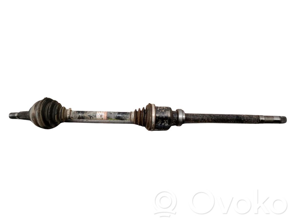 Front driveshaft   3273NP