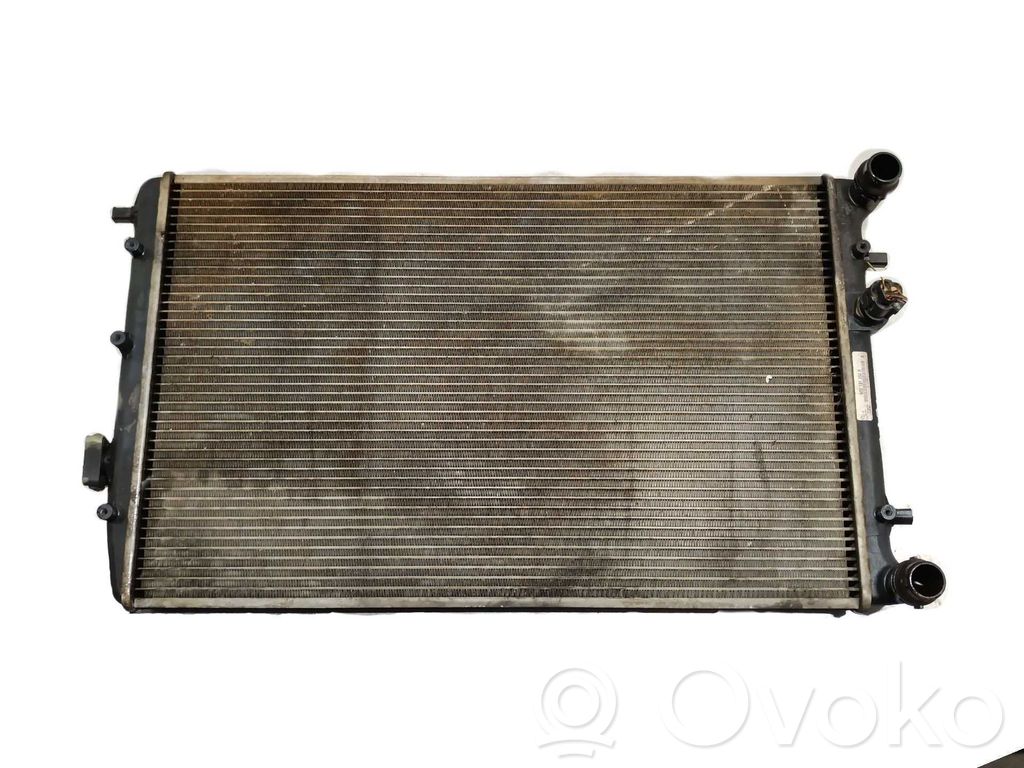 Seat Ibiza III (6L) Radiator lichid răcire 