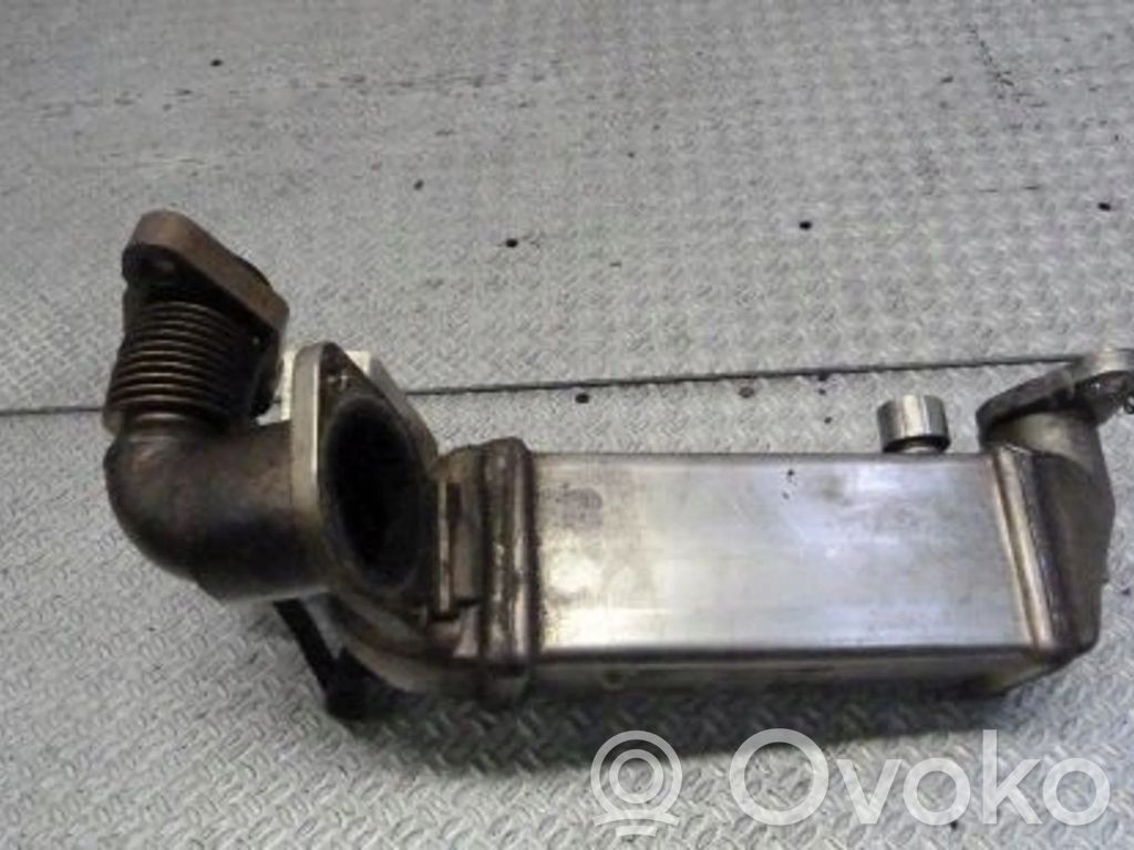 BMW 3 E90 E91 EGR dzesētājs 