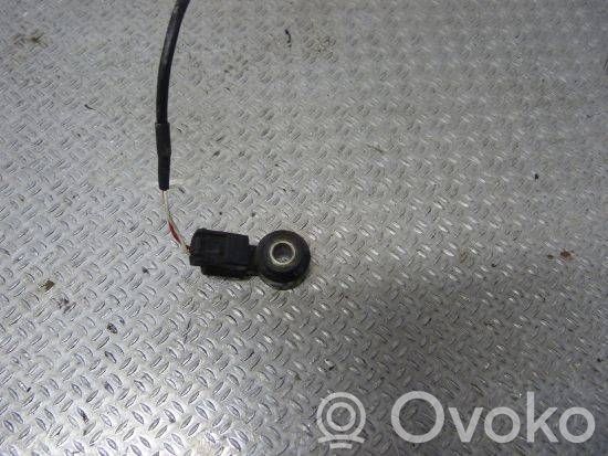 Renault Clio IV Detonacinis daviklis 