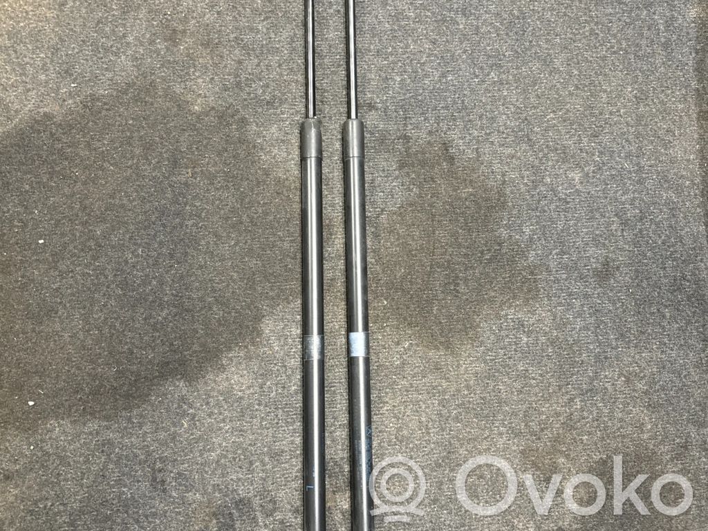 Dodge Durango III Tailgate/trunk strut/damper 