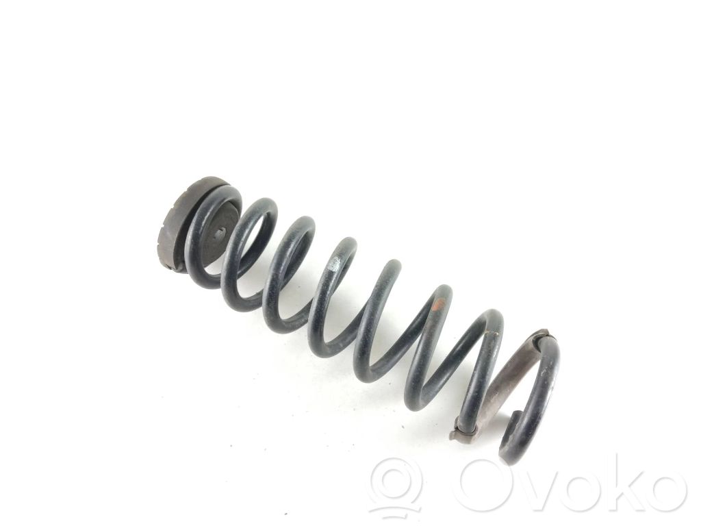 Rear coil spring