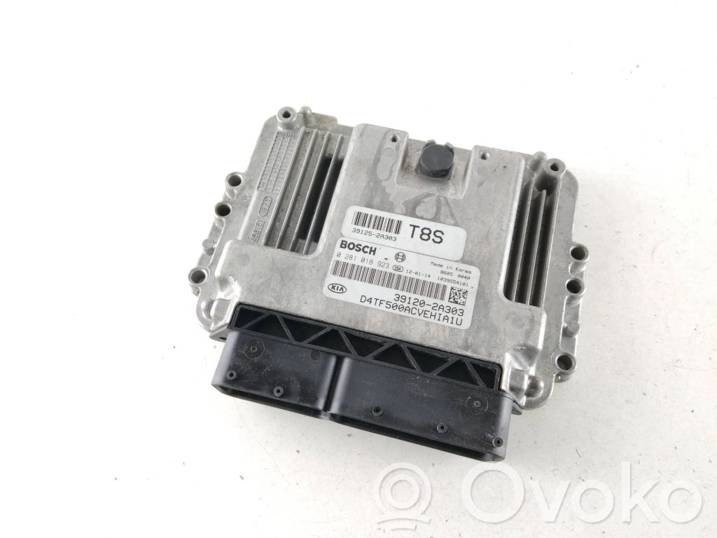 Engine control unit/module   391202A303,0281018923,391252A303