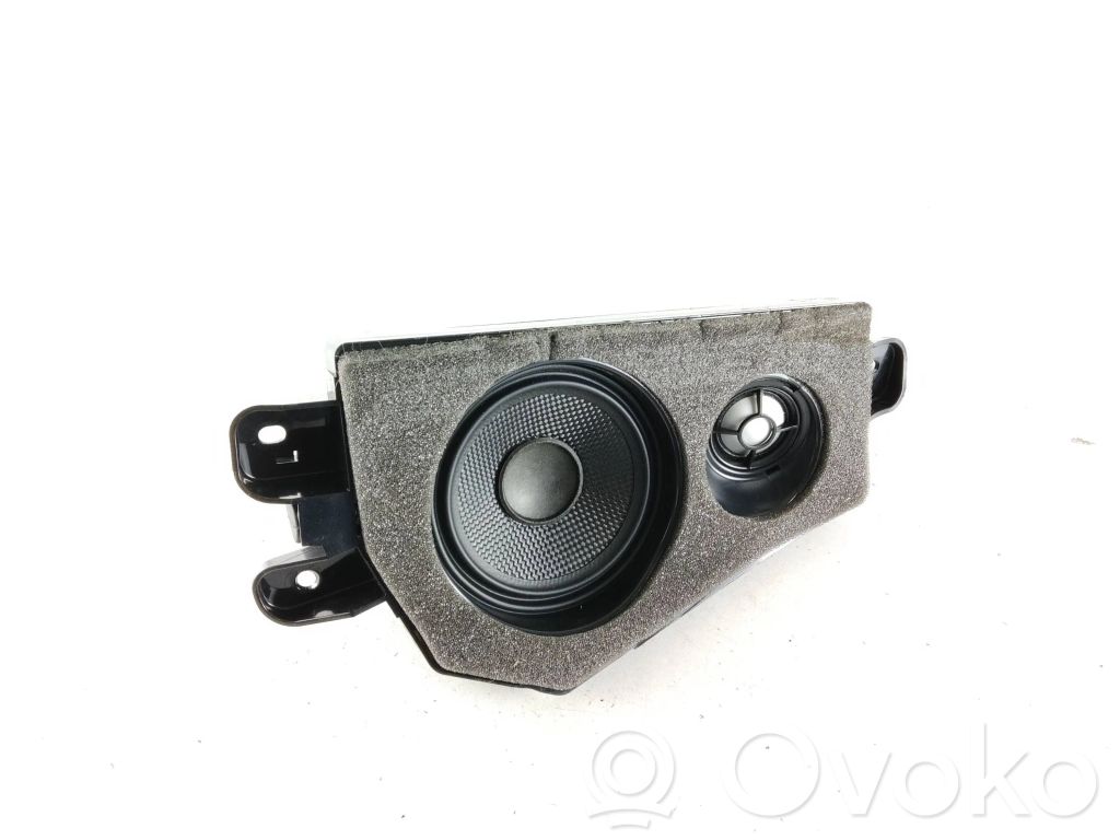 BMW X6 E71 Rear door speaker 