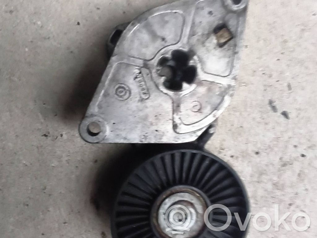 Land Rover Freelander Diržo įtempėjas 