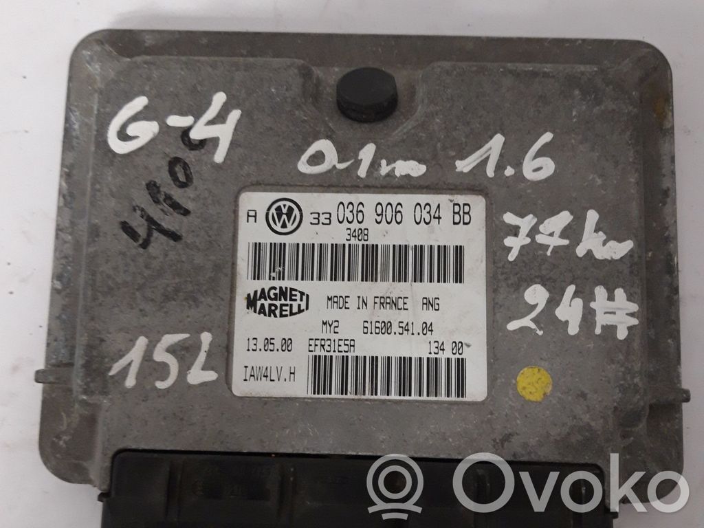 Engine control unit/module   036906034BB,IAW4LVH
