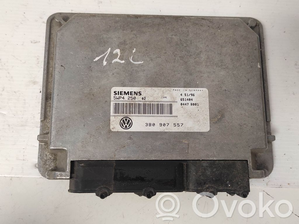 Volkswagen PASSAT B5.5 Unitate/modul de control motor 
