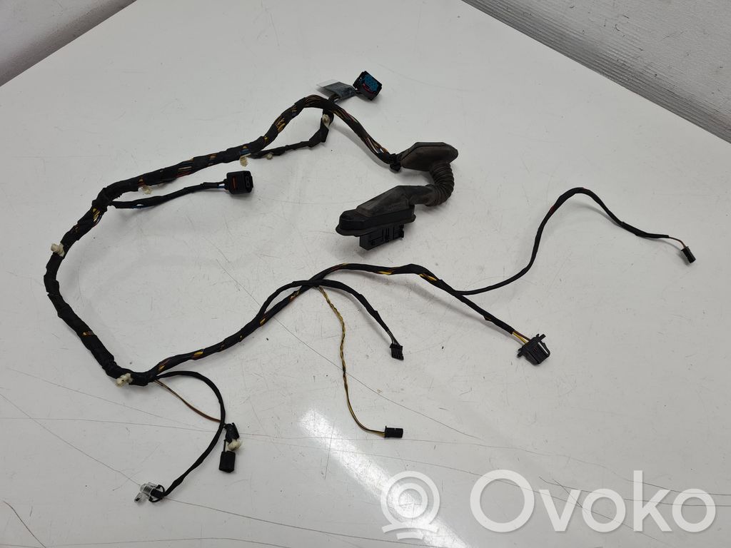 BMW X5 E53 Cableado de puerta trasera 