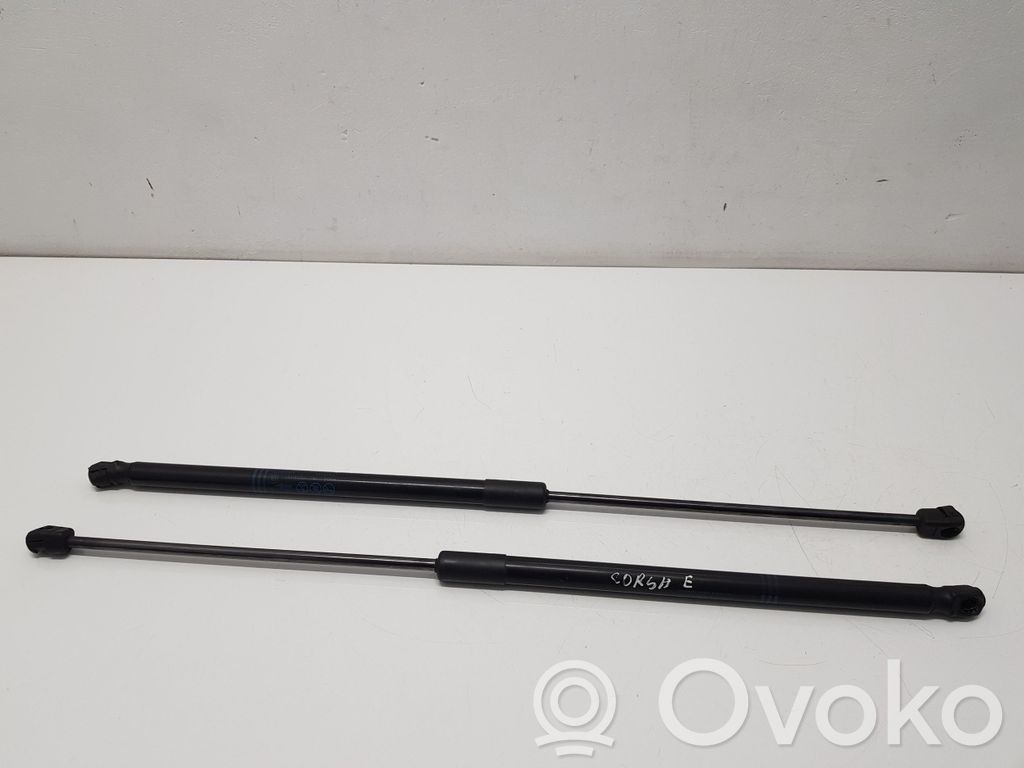 Opel Corsa E Tailgate/trunk strut/damper 