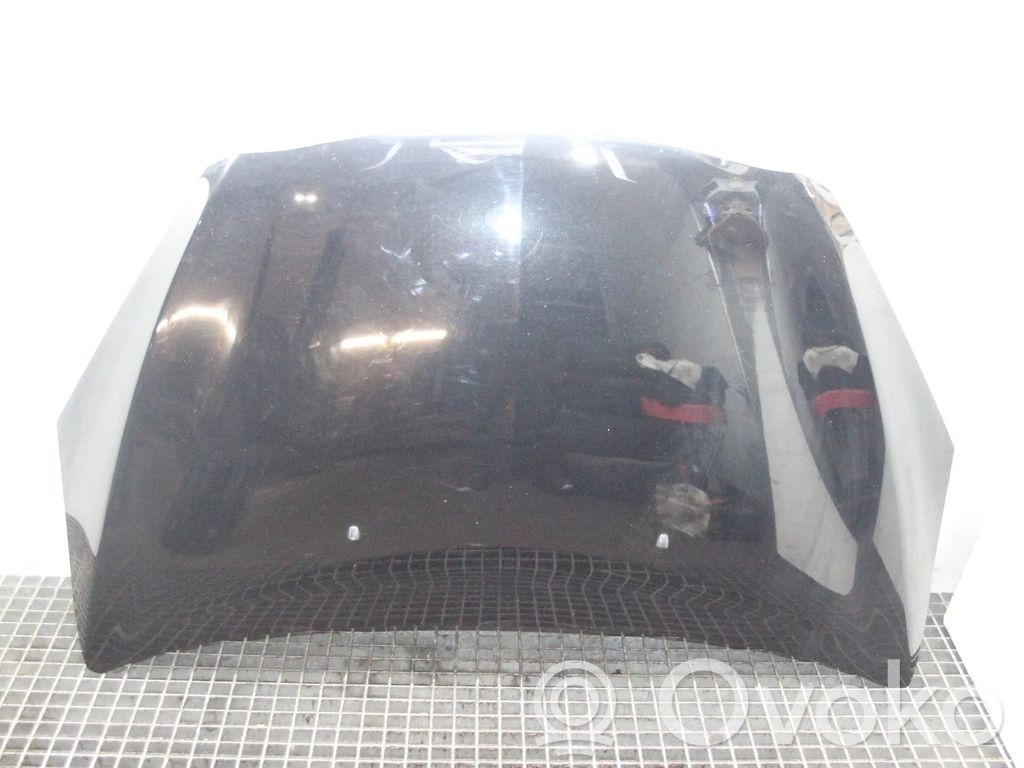 Motorhaube