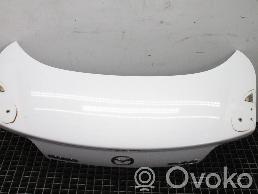 Tailgate/trunk/boot lid