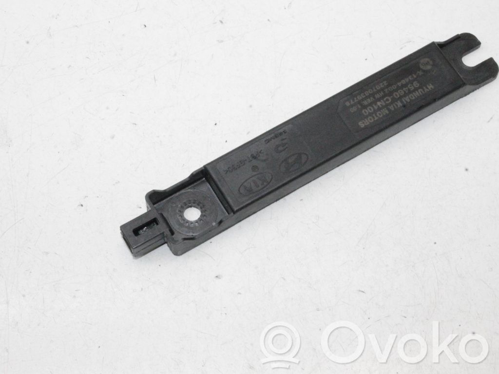 Antenne des Keyless-Systems   95460CN100
