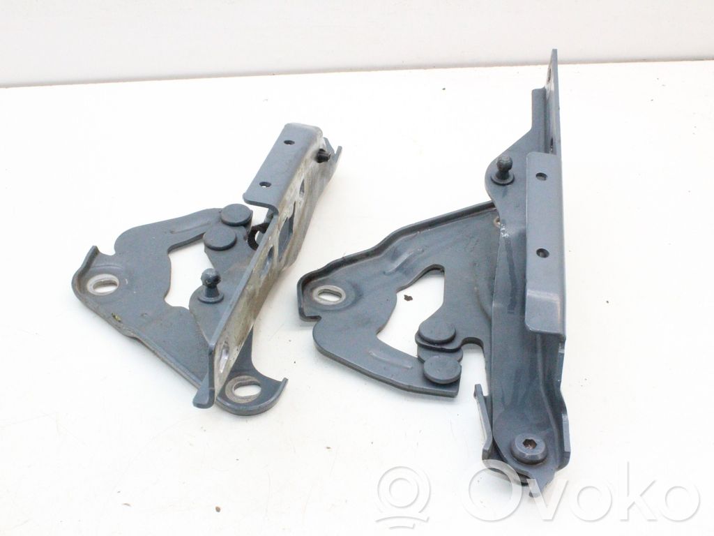 Audi E-tron GT Engine bonnet/hood hinges 