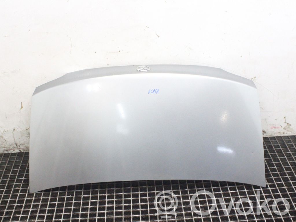 Tailgate/trunk/boot lid