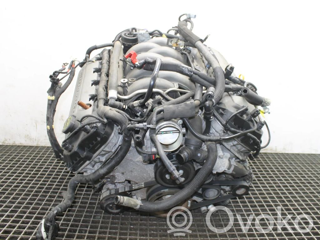 Motor   MF8F,C50SDEM,COYOTE