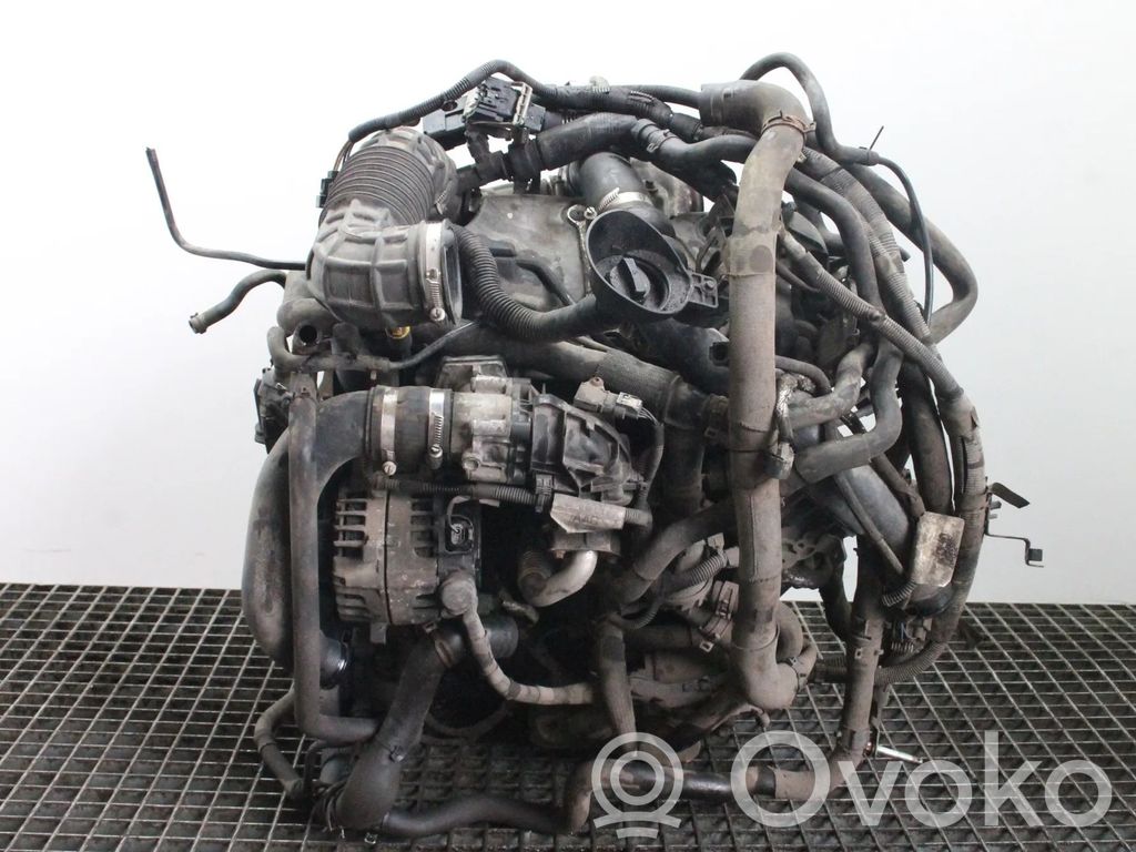 Motor   YMR6