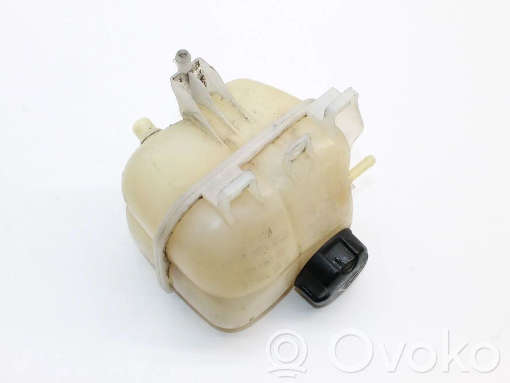 Mini Cooper Countryman R60 Vas expansiune/rezervor lichid de răcire 