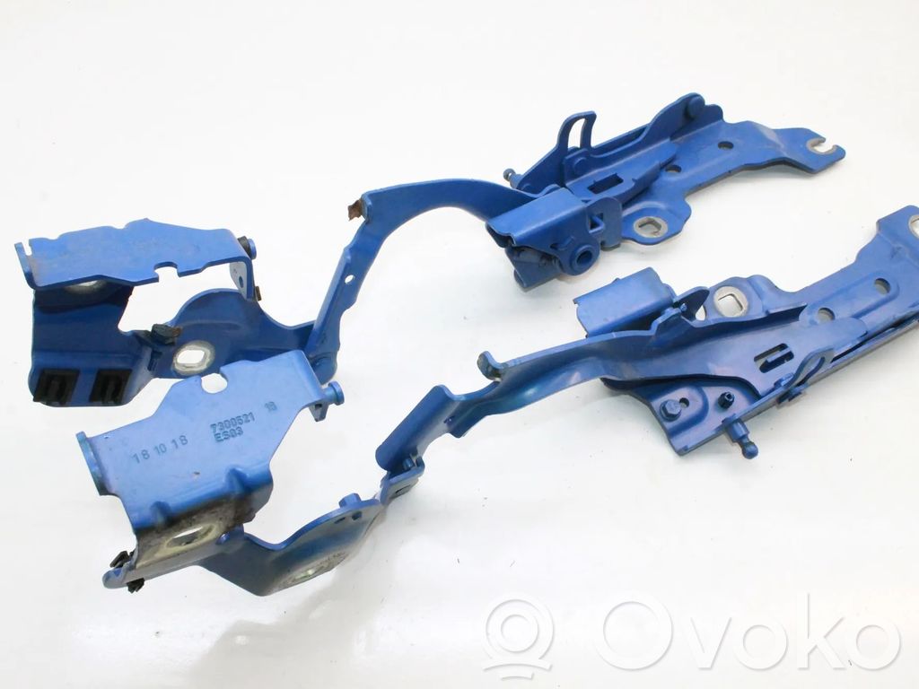 BMW 2 F46 Cerniere del vano motore/cofano 