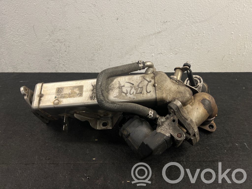 BMW 3 E90 E91 EGR aušintuvas 