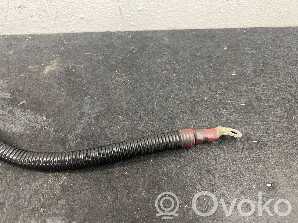 Positive cable (battery)   7795640