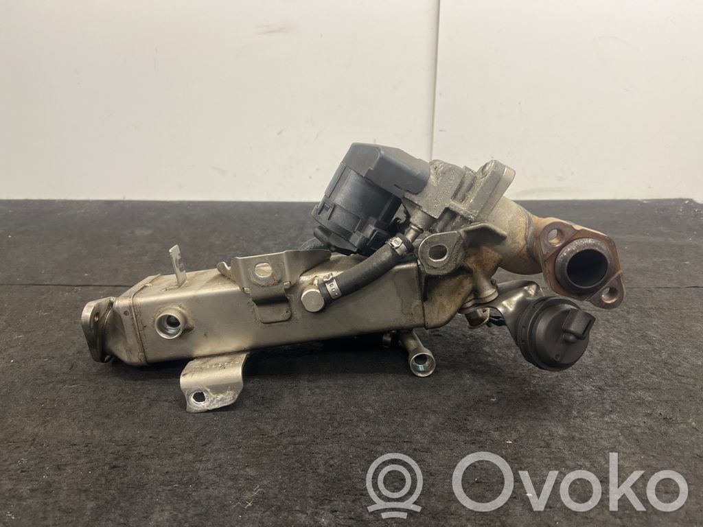 BMW 3 E90 E91 EGR dzesētājs 