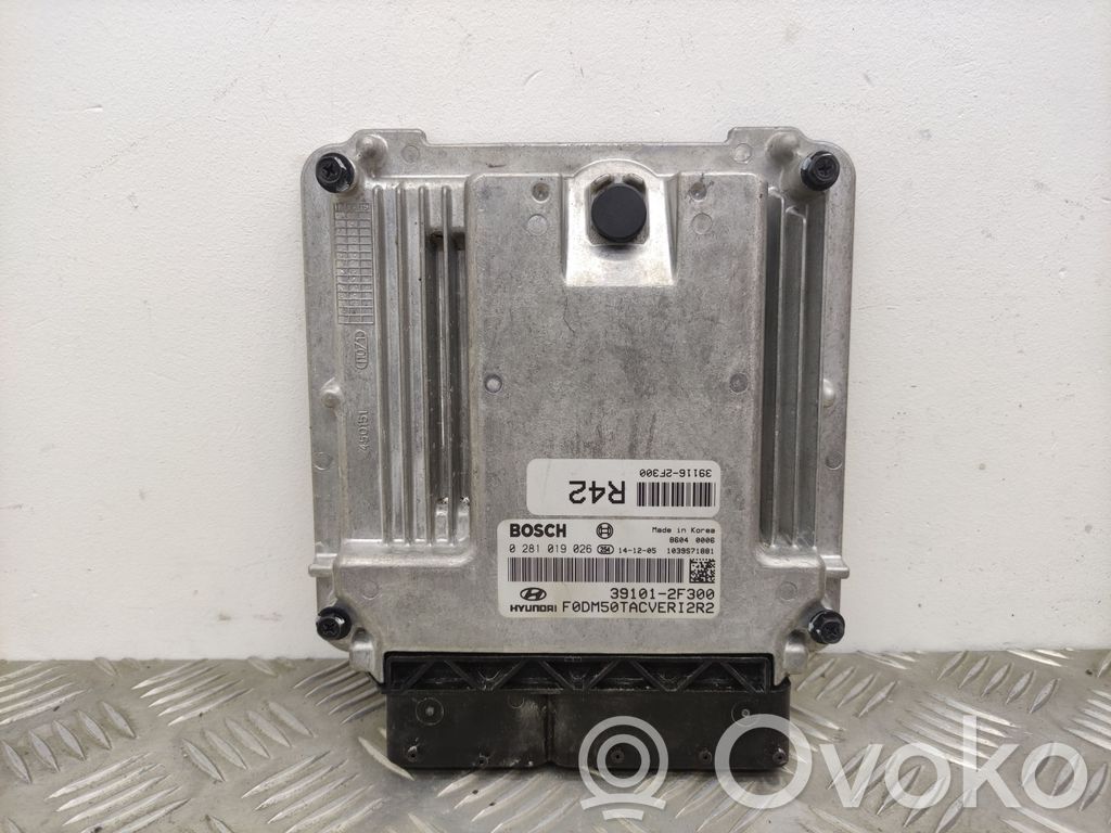 Hyundai Santa Fe Engine control unit/module 