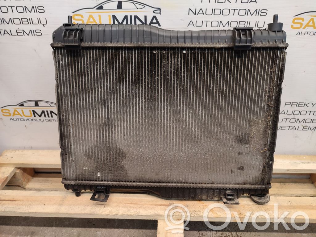Ford Ecosport Radiatorių komplektas 