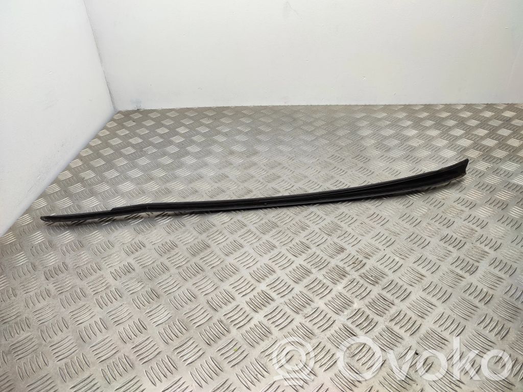Ford Focus Windshield trim 