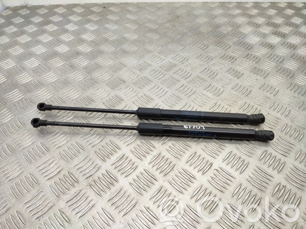 Renault Kadjar Tailgate/trunk strut/damper 