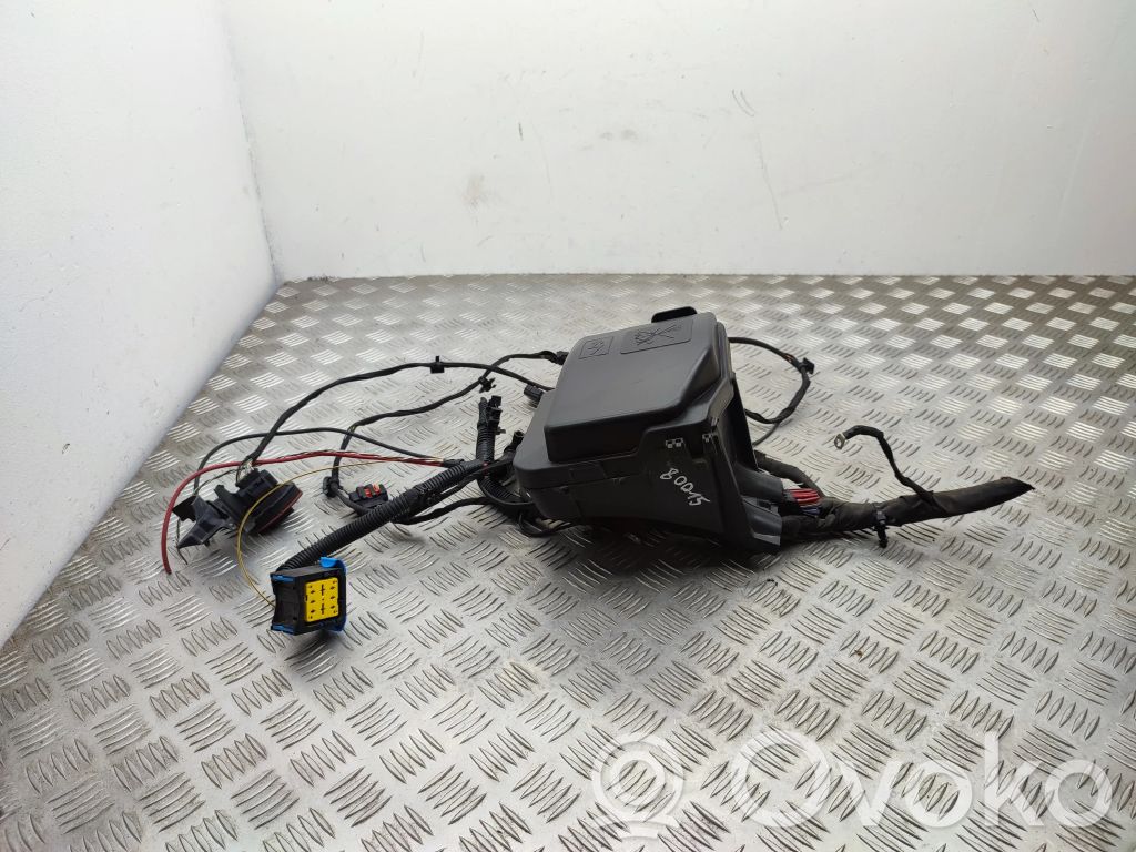 Fuse module