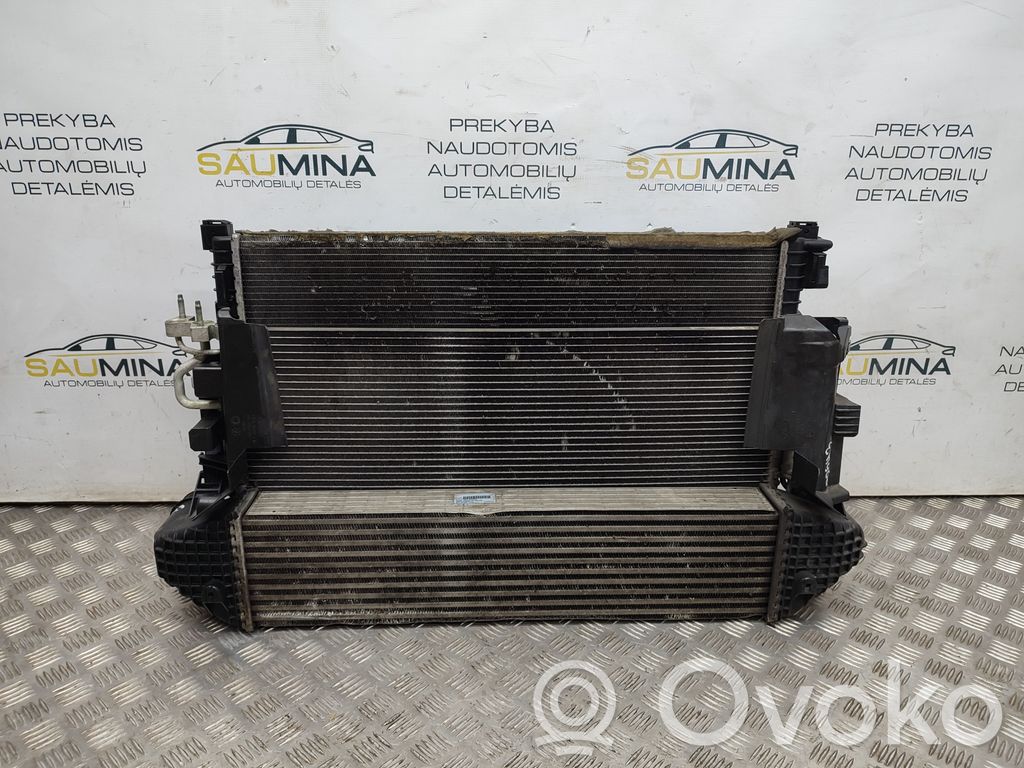 Ford Focus Radiator set 