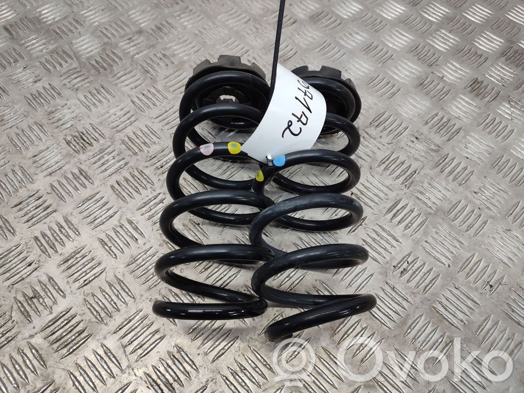 Rear coil spring