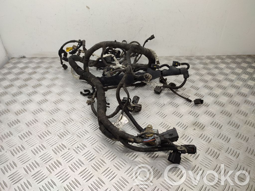 Ford Transit Custom Engine installation wiring loom 