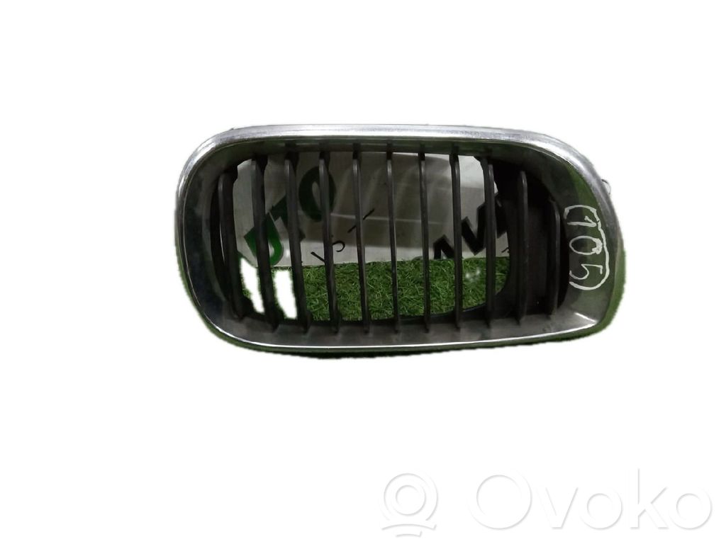 Front grill   70305500