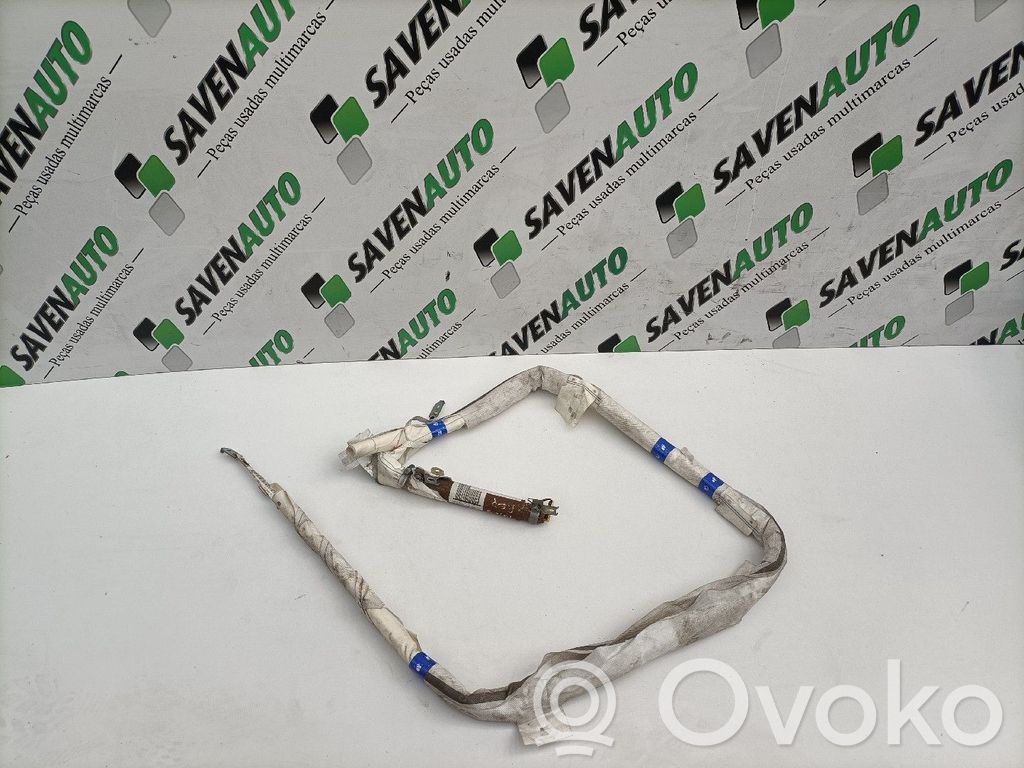 Airbag del techo   810880741A