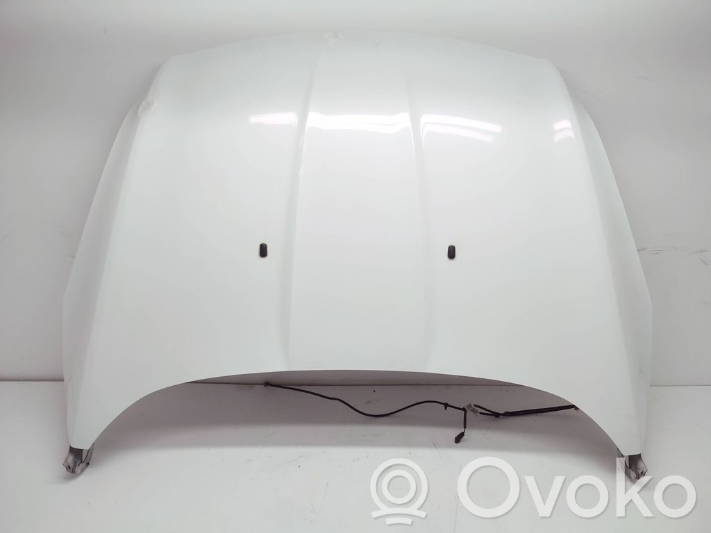 Engine bonnet/hood