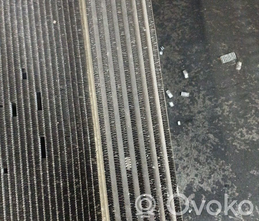 Interkūlerio radiatorius   SEM