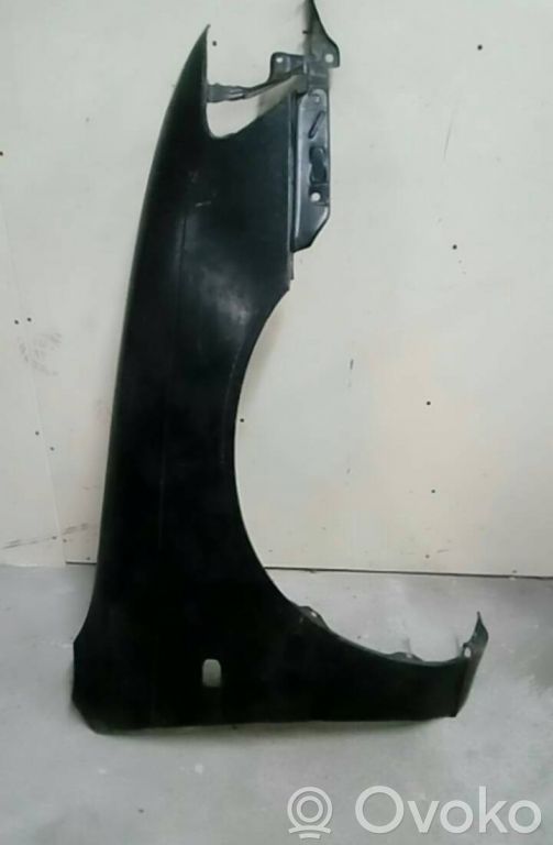 Fender