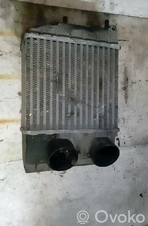 Intercooler radiator   SEM