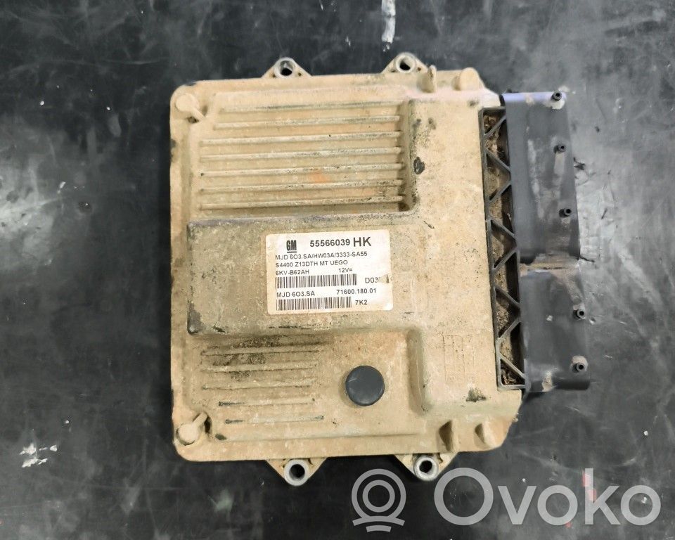 Motorsteuergerät/-modul   55566039HK,FILIPE,HK