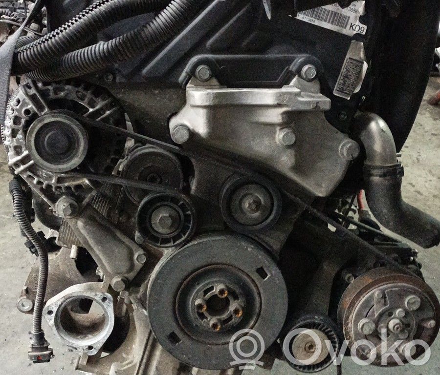 Variklis   Z19DT,BRUNO,CARGAY412023