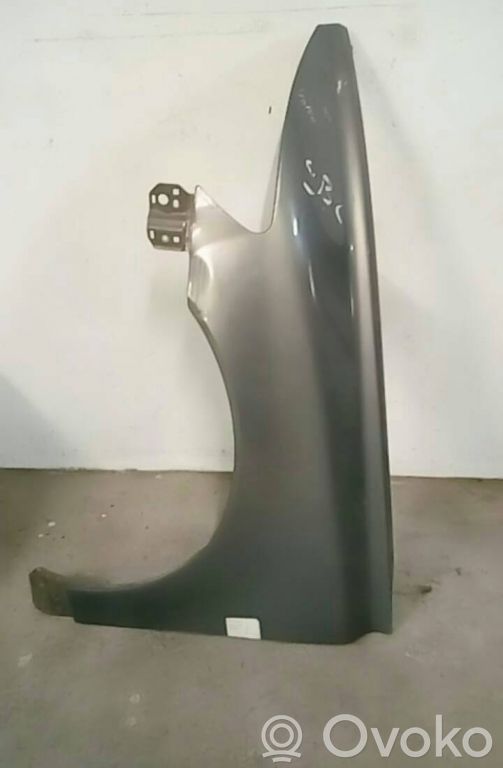 Guardabarro   CINZA