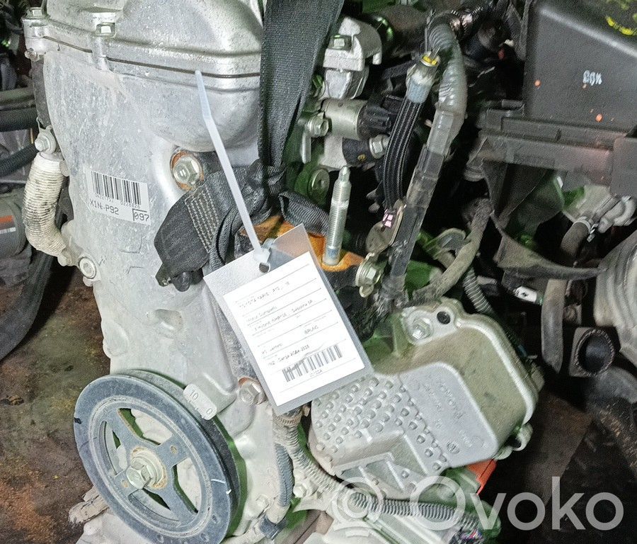 Motor   1NZ,BRUNO,CARGAAG542025