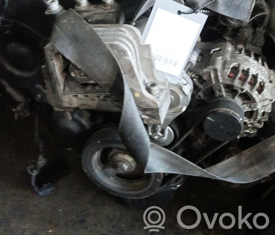 Motor   8HZ,BRUNO,CARGAAI702025